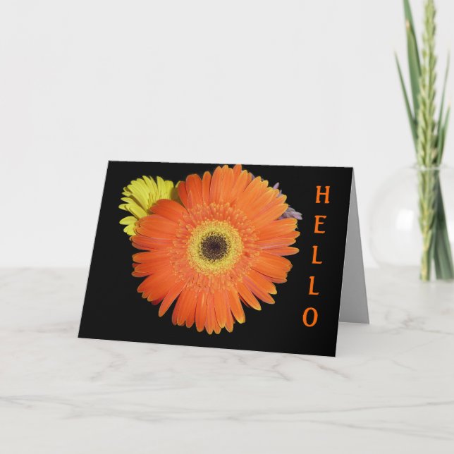 Orange Gerber Daisy Card (Front)