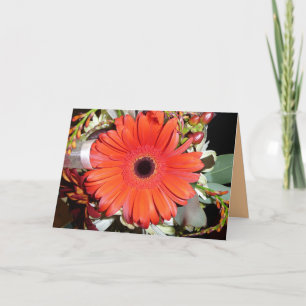 Orange Gerber Daisy Card