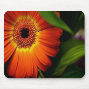 Orange Gerber Daisy Mouse Pad