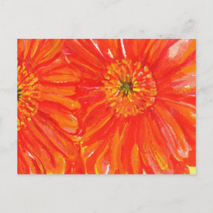 Orange Gerber Postcards