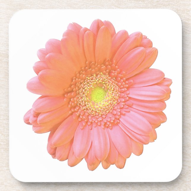 Orange gerbera daisy coaster (Front)