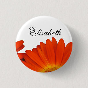 orange gerbera daisy flower buttons