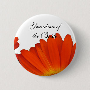 orange gerbera daisy flower buttons