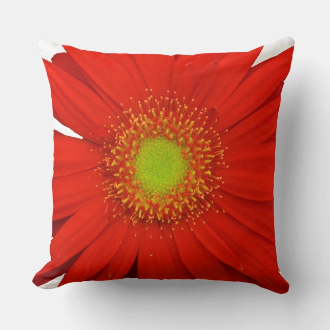 Orange Gerbera Daisy Flower Cushion (Front)