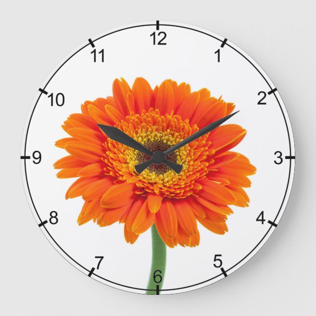 Orange Gerbera Daisy Flower Large Clock (Front)