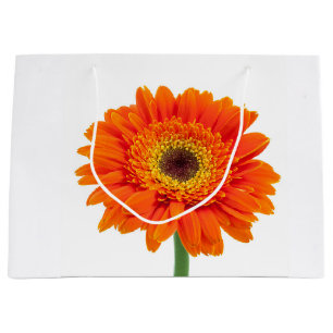 Orange Gerbera Daisy Flower Large Gift Bag