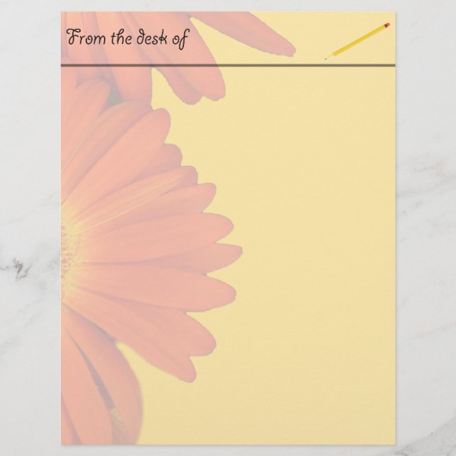 orange gerbera daisy flowers (Front)