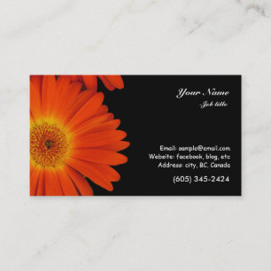 orange gerbera daisy flowers business card