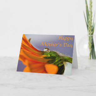 Orange Gerbera Daisy Mother's Day Card