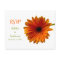 Orange Gerbera Daisy Response Card
