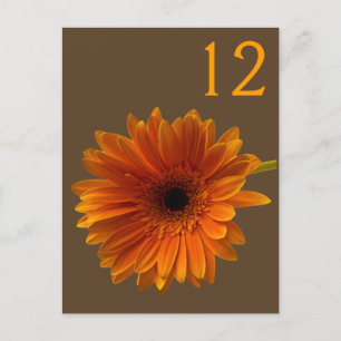 Orange Gerbera Daisy Table Number Card