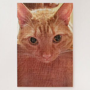 Orange/Ginger Cute and Fuzzy Tabby Cat Jigsaw Puzzle