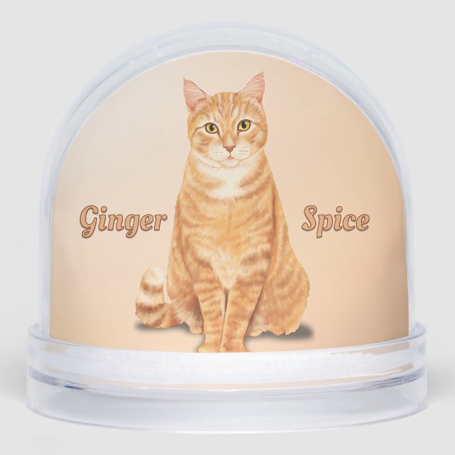 Orange Ginger Tabby Cat Personalised Snowglobe (Front)