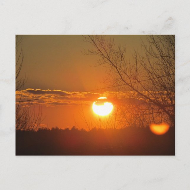 Orange Glow Postcard (Front)