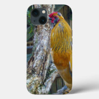 Orange Grey Fluffy Rooster,