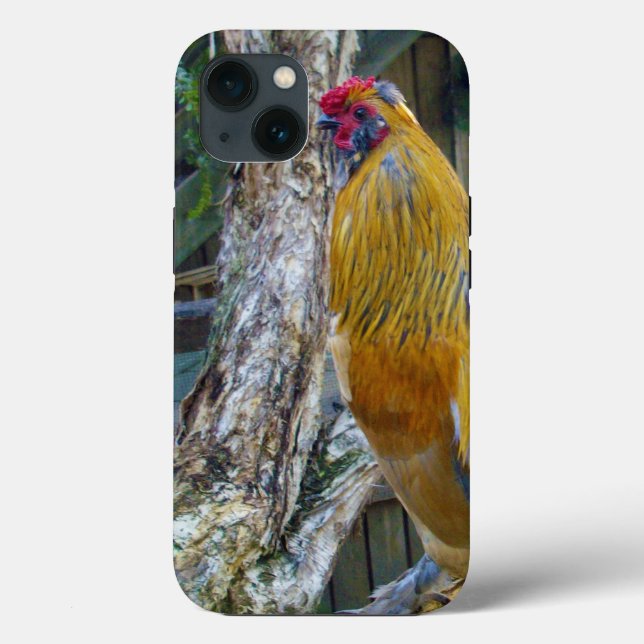Orange Grey Fluffy Rooster,  Case-Mate iPhone Case (Back)