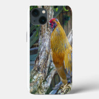 Orange Grey Fluffy Rooster,