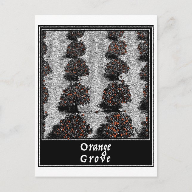 Orange Grove Postcard (Front)