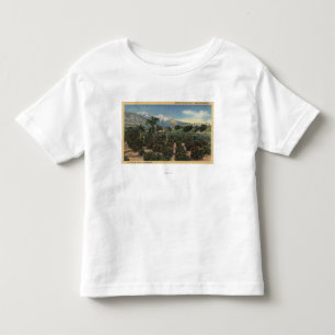 Orange Grove Scene with Snow Capped Mts Toddler T-Shirt