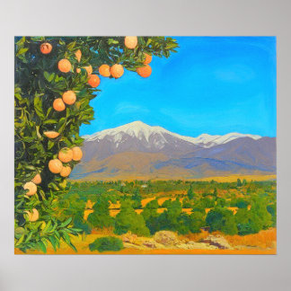 Orange Groves Snow Capped Mount Baldy Early 1900s Poster
