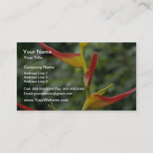 Orange Haliconia latispathia flowers Business Card