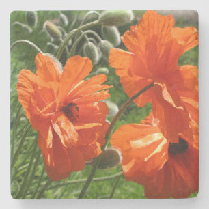 Orange Harvest Moon Oriental Poppies Stone Coaster