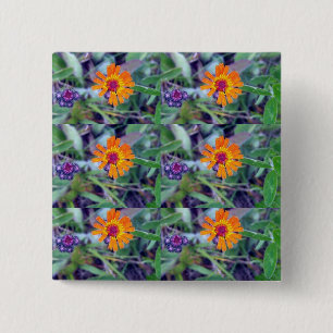 Orange Hawkweed 1 Button