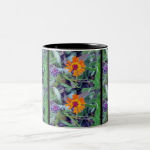 Orange Hawkweed 1 Mug