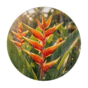 Orange Heliconia Tropical Flower Golden Hour  Cutting Board