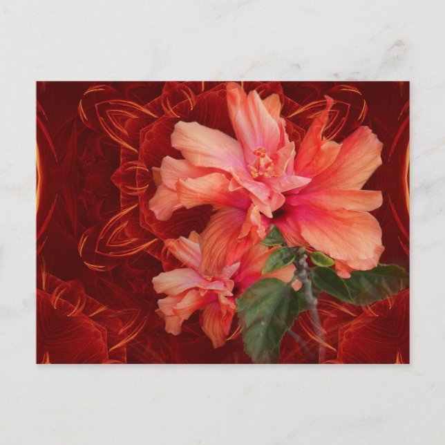 Orange hibiscus and kaleidoscope postcard (Front)