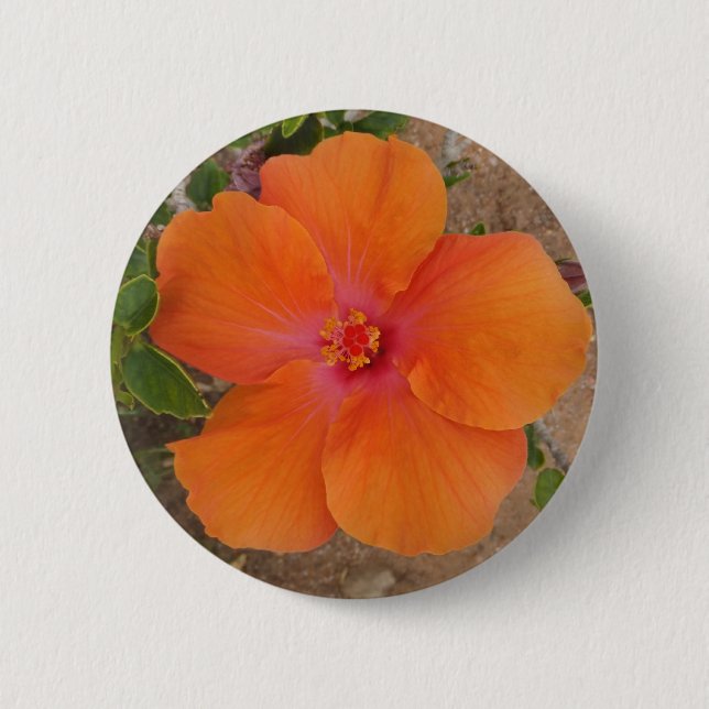 Orange Hibiscus button (Front)