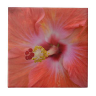 Orange Hibiscus Ceramic Tile