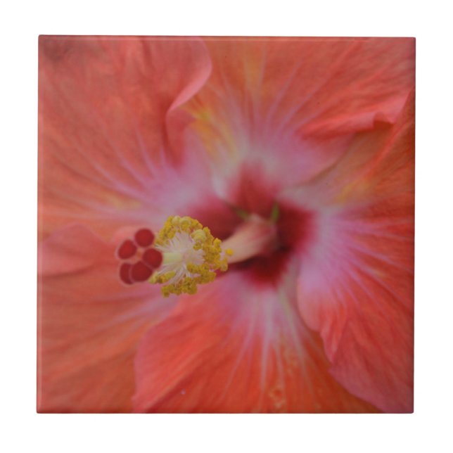 Orange Hibiscus Ceramic Tile (Front)