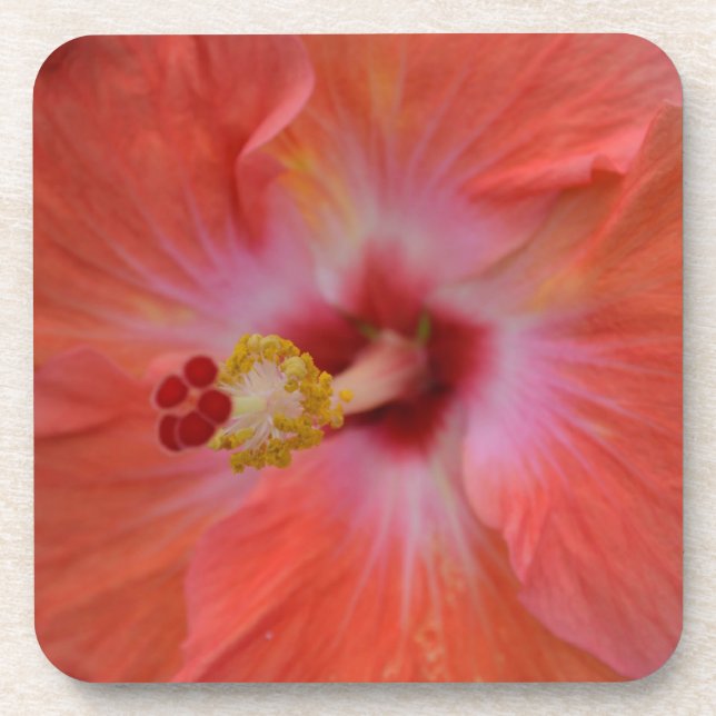 Orange Hibiscus Cork Coaster (Front)