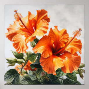 Orange Hibiscus Flower Art Print Poster