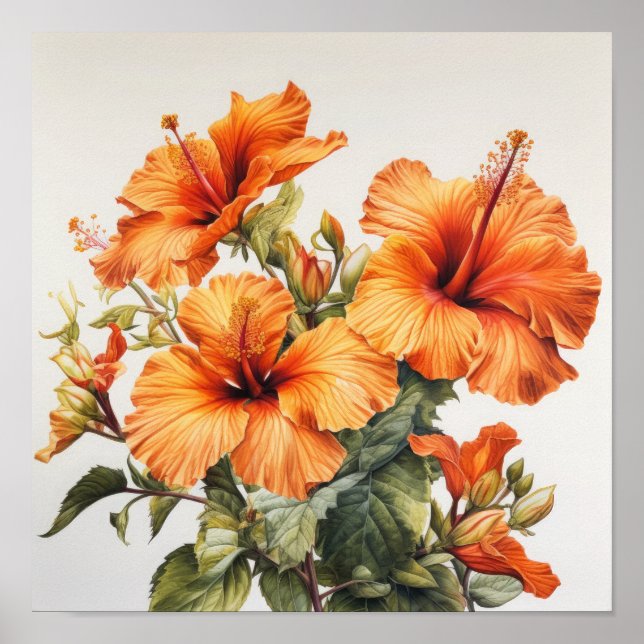 Orange Hibiscus Flower Art Print Poster (Front)