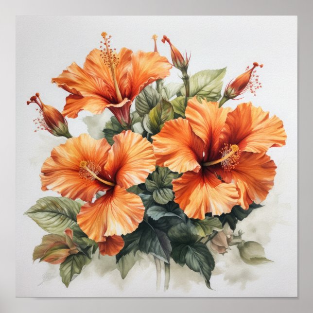 Orange Hibiscus Flower Art Print Poster (Front)