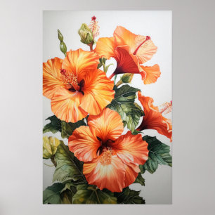Orange Hibiscus Flower Art Print Poster