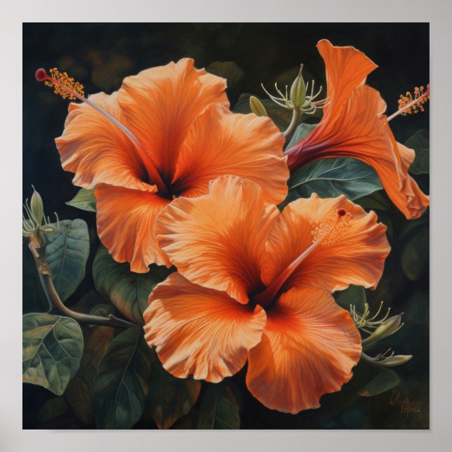Orange Hibiscus Flower Art Print Poster (Front)