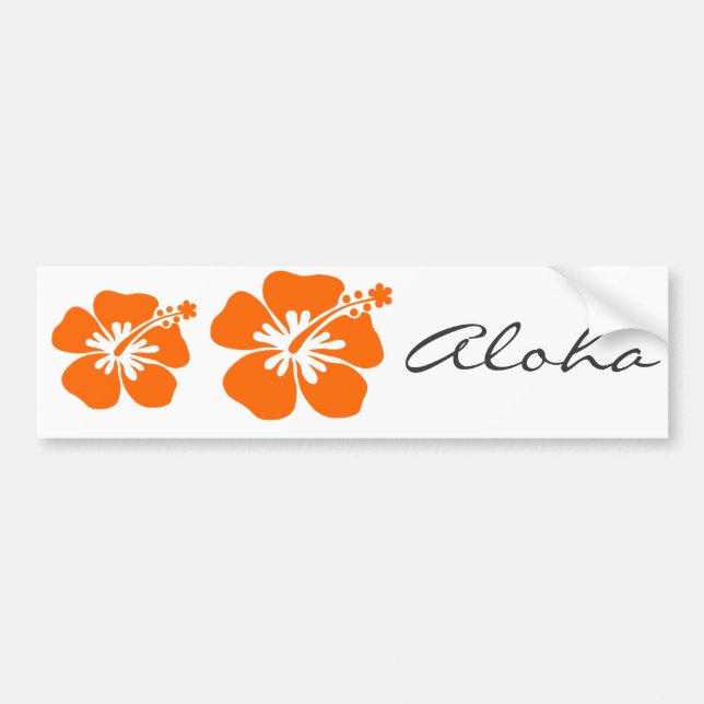 Orange hibiscus flower bumper sticker (Front)