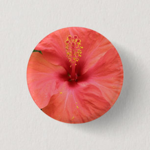 Orange Hibiscus Flower Macro Button