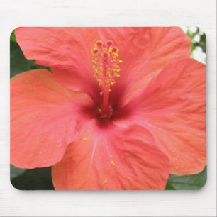 Orange Hibiscus Flower Macro Mousepad