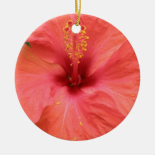 Orange Hibiscus Flower Macro Ornaments