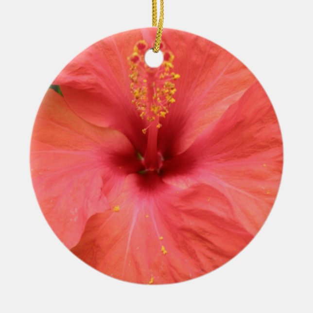Orange Hibiscus Flower Macro Ornaments (Front)