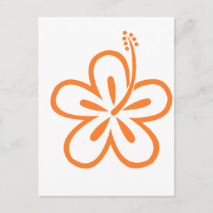 Orange hibiscus flower postcard