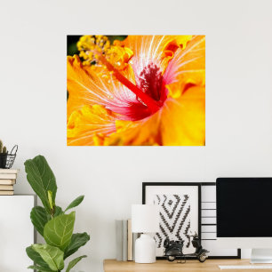 Orange Hibiscus Flower Side View 30x24 Poster