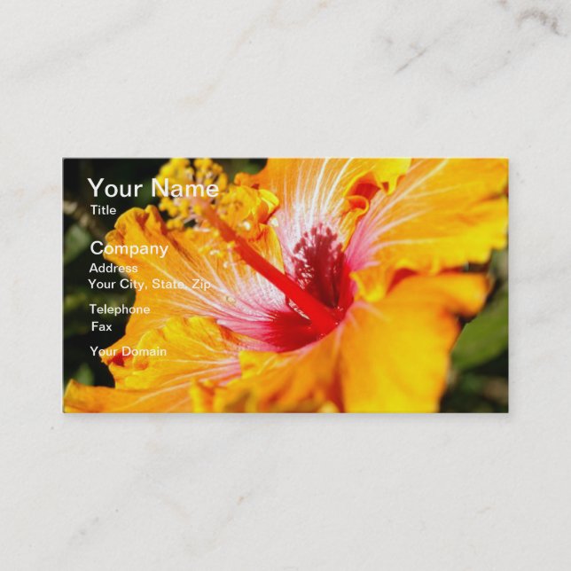 Orange Hibiscus Flower Side View Business Card (Front)