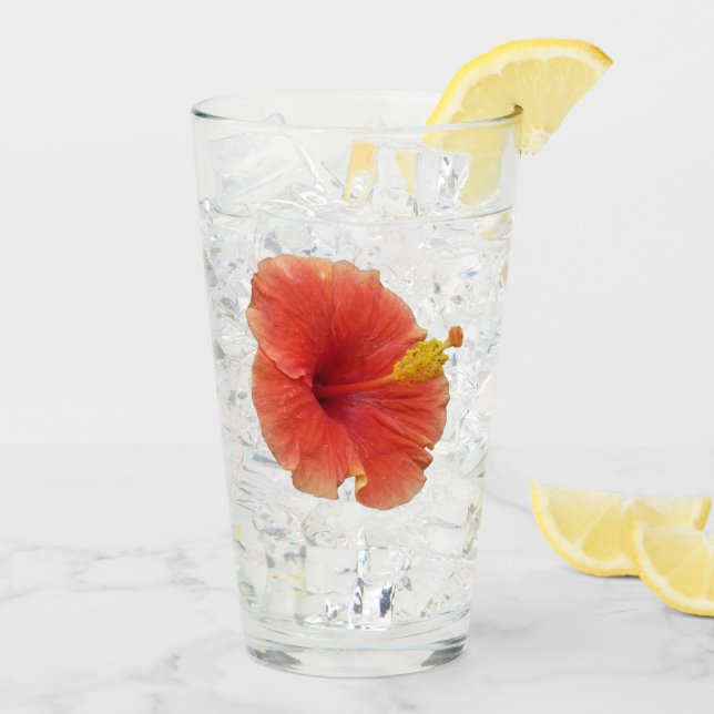 Orange Hibiscus Flower Tropical Floral Glass (Back Ice)