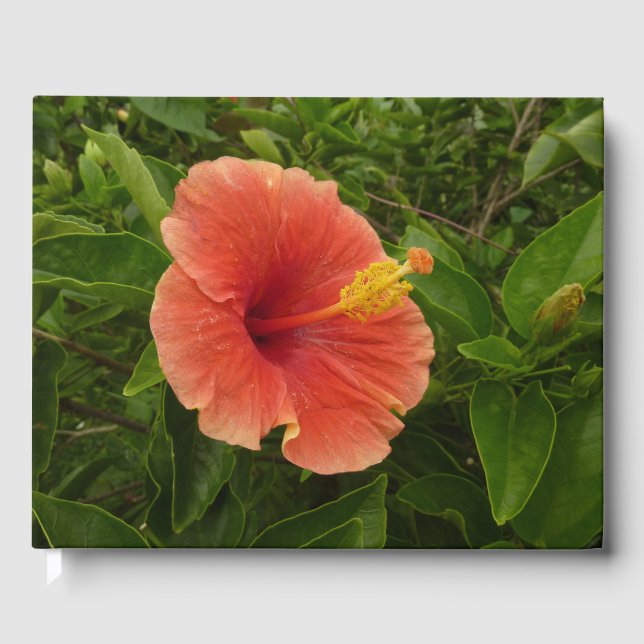 Orange Hibiscus Flower Tropical Floral Guest Book (Front)