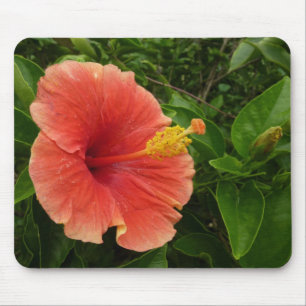Orange Hibiscus Flower Tropical Floral Mouse Pad